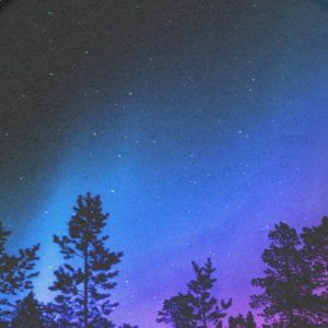 Meet your Posher, Christy